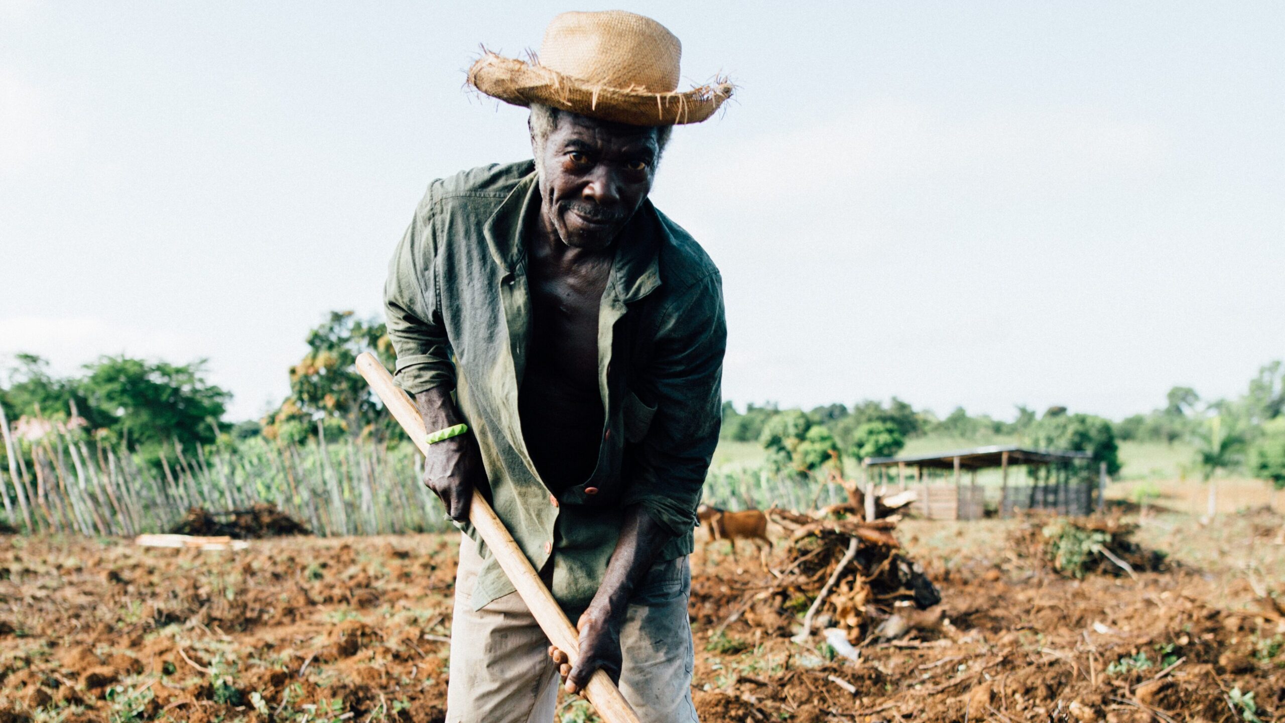 Homem em pé segura uma picareta no campo